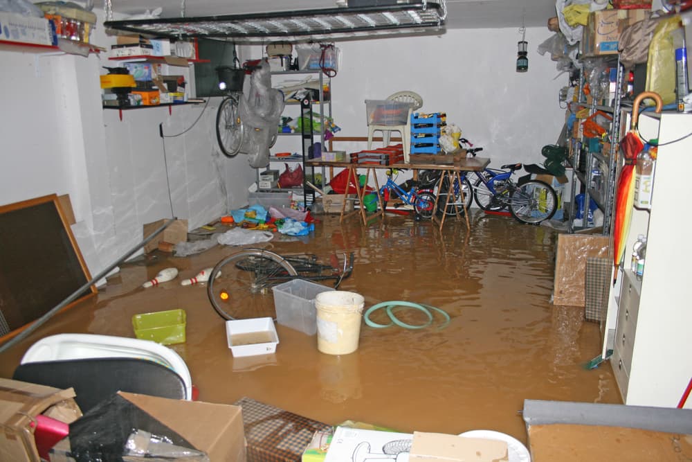 24-Hour Water Damage Clean-Up | Ambrose Advanced Carpet Cleaning